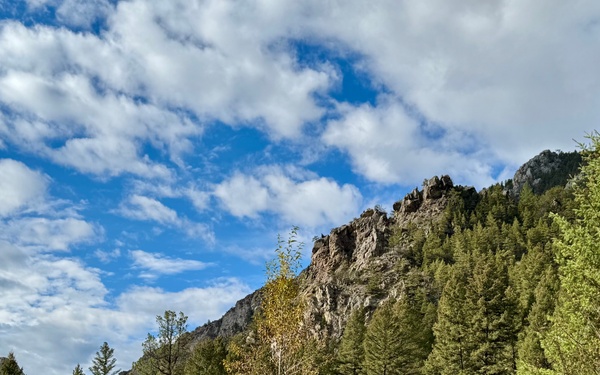 Helena-Lewis and Clark National Forest