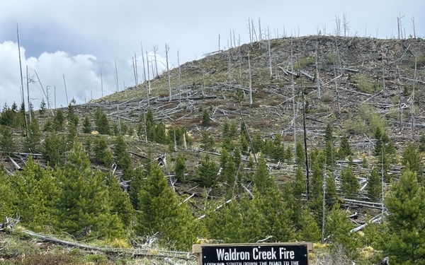 Waldron Creek Fire Memorial