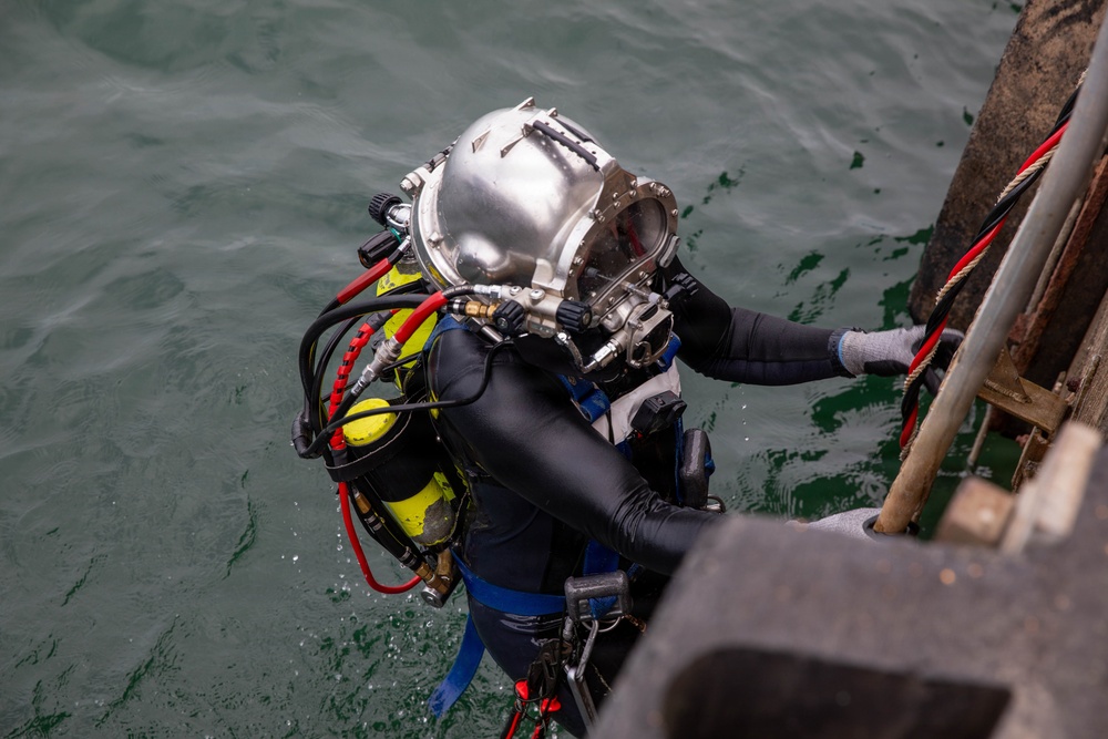 U.S. Army and Panamanian Divers conduct a Dive and Rescue Exercise