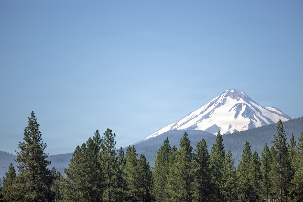 Mount Shasta on the Shasta-Trinity National Forest