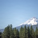 Mount Shasta on the Shasta-Trinity National Forest
