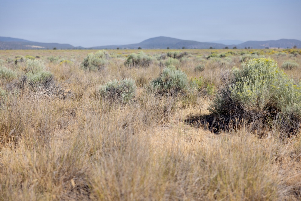 Butte Valley National Grassland