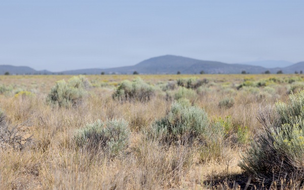 Butte Valley National Grassland