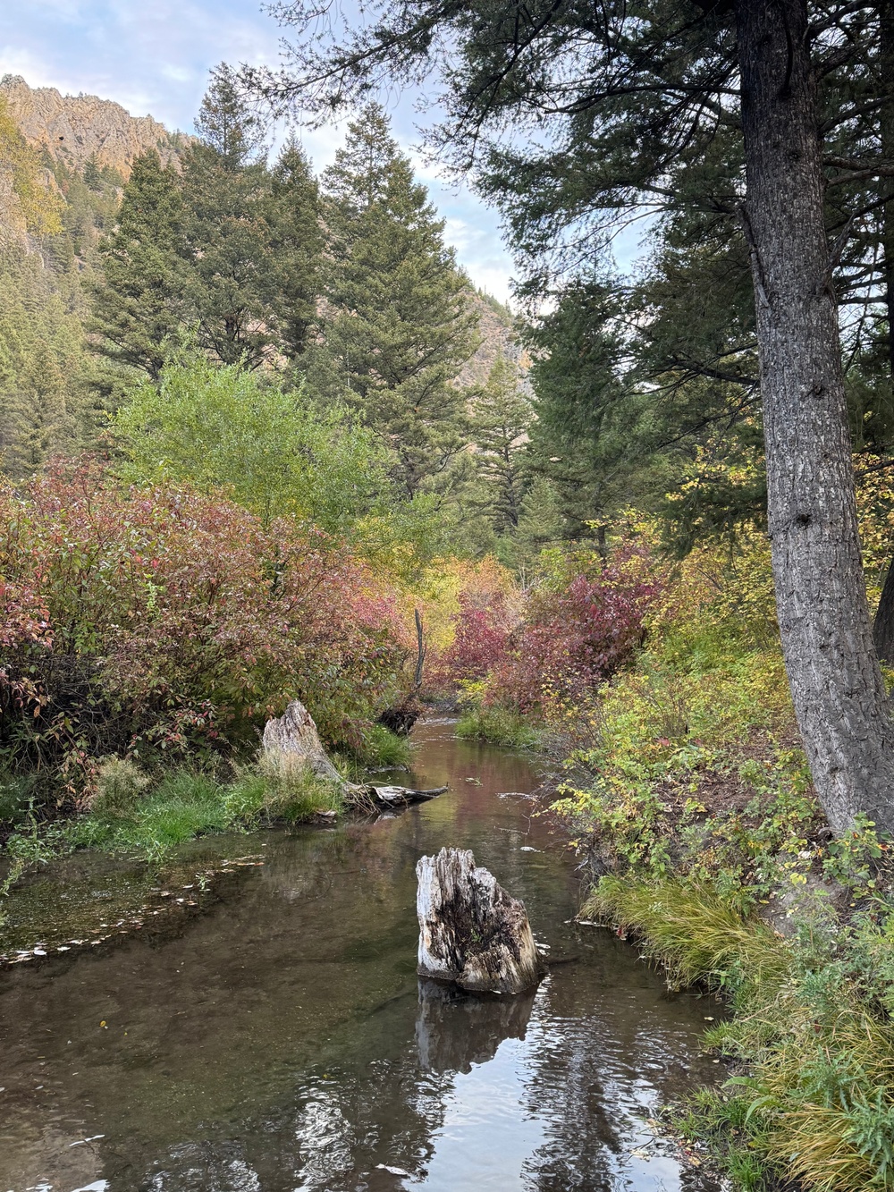 Helena-Lewis and Clark National Forest