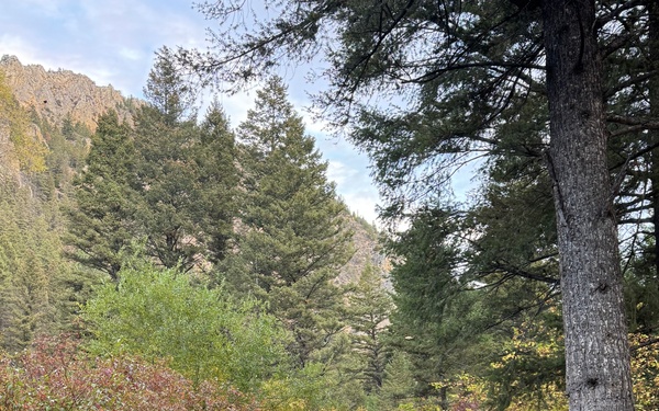 Helena-Lewis and Clark National Forest