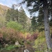 Helena-Lewis and Clark National Forest