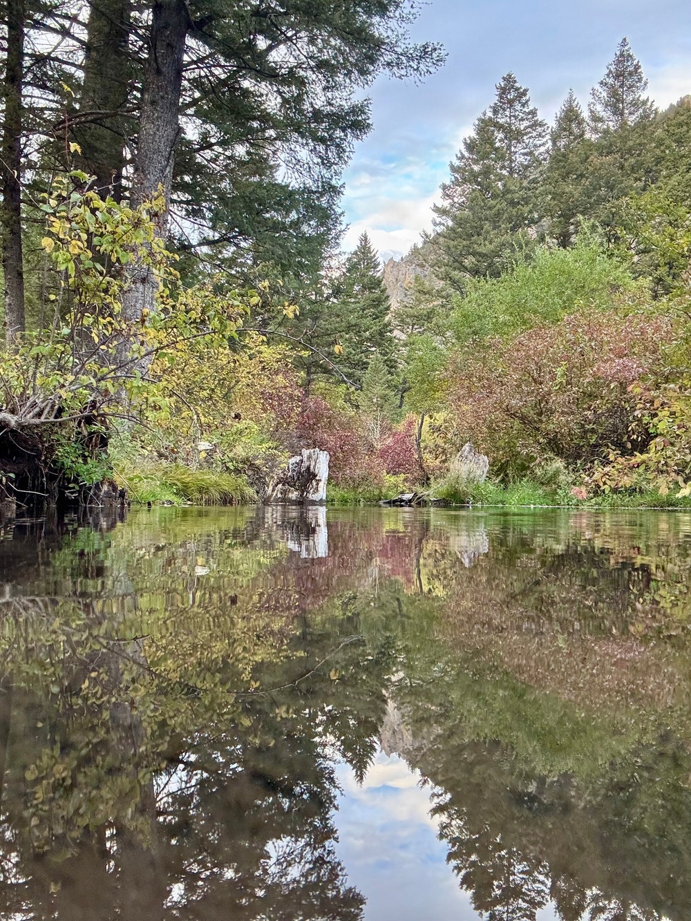 Helena-Lewis and Clark National Forest