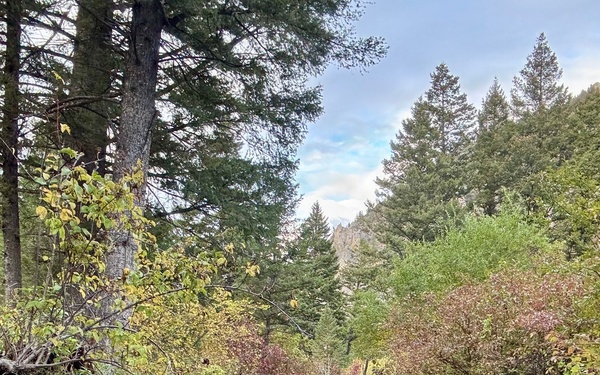 Helena-Lewis and Clark National Forest