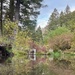 Helena-Lewis and Clark National Forest