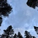 Helena-Lewis and Clark National Forest