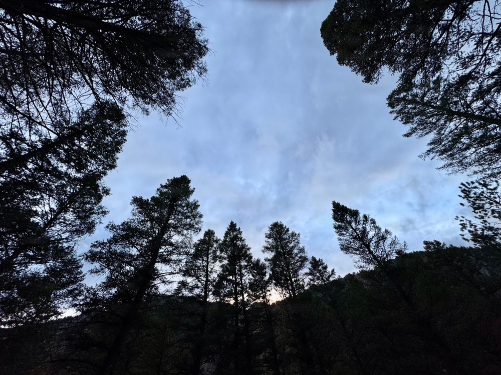 Helena-Lewis and Clark National Forest