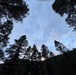 Helena-Lewis and Clark National Forest