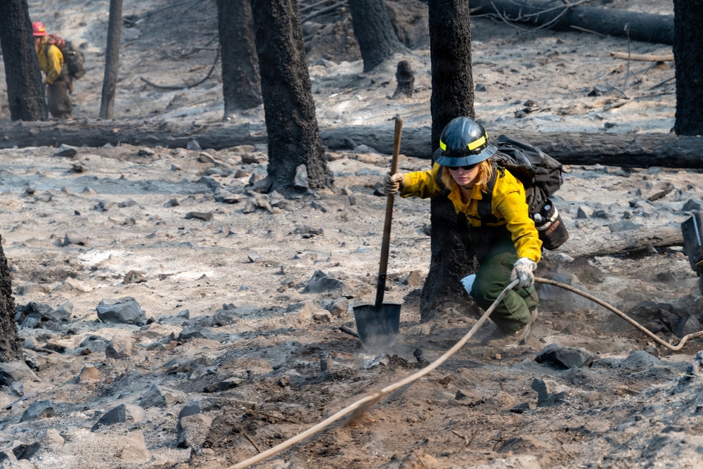 Spokane Area Fires