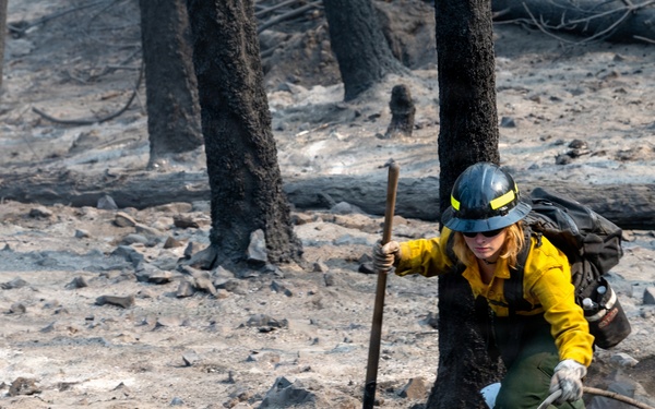 Spokane Area Fires