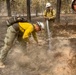 Spokane Area Fires