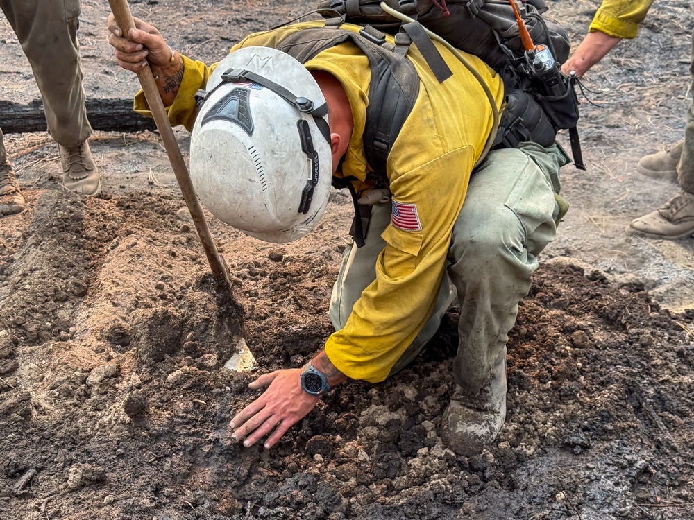 Spokane Area Fires