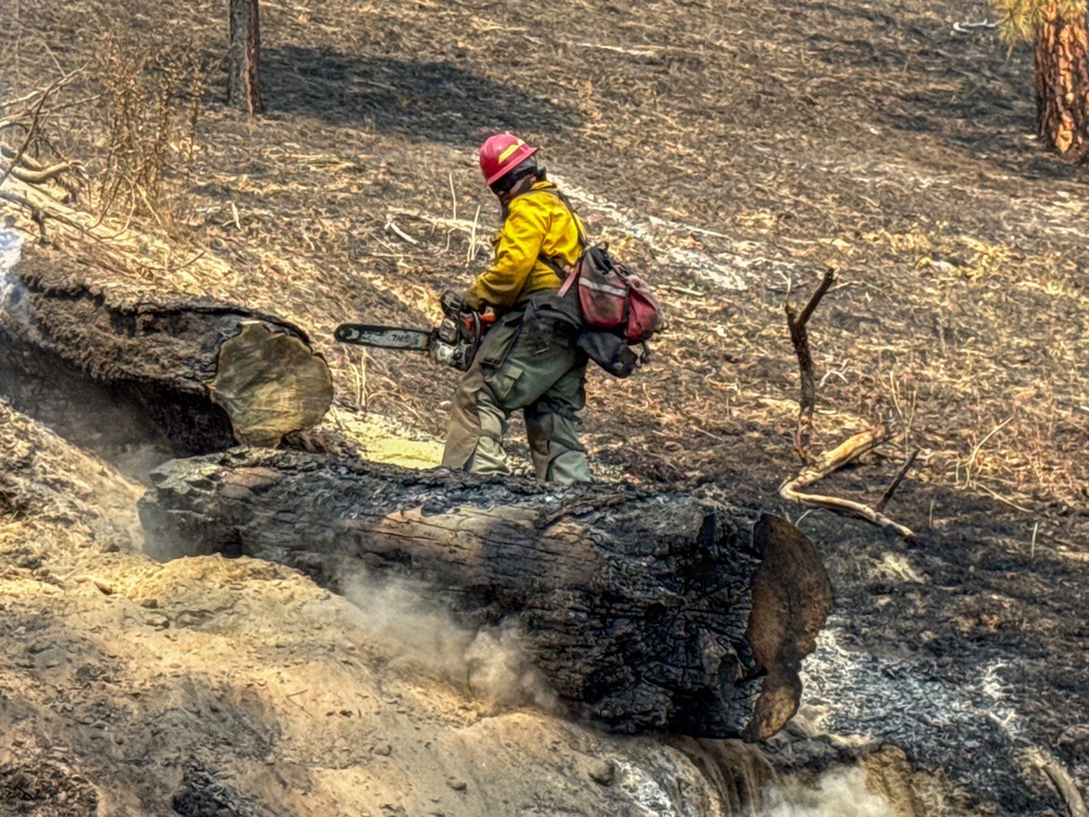 Spokane Area Fires