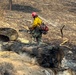 Spokane Area Fires