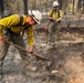 Spokane Area Fires