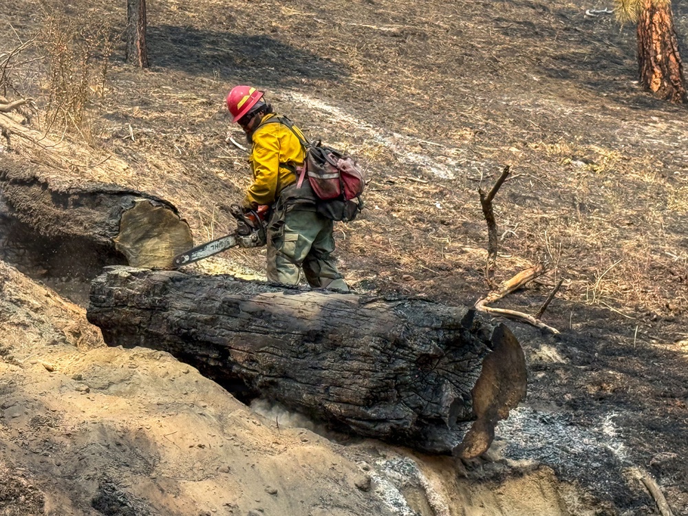 Spokane Area Fires