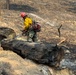 Spokane Area Fires