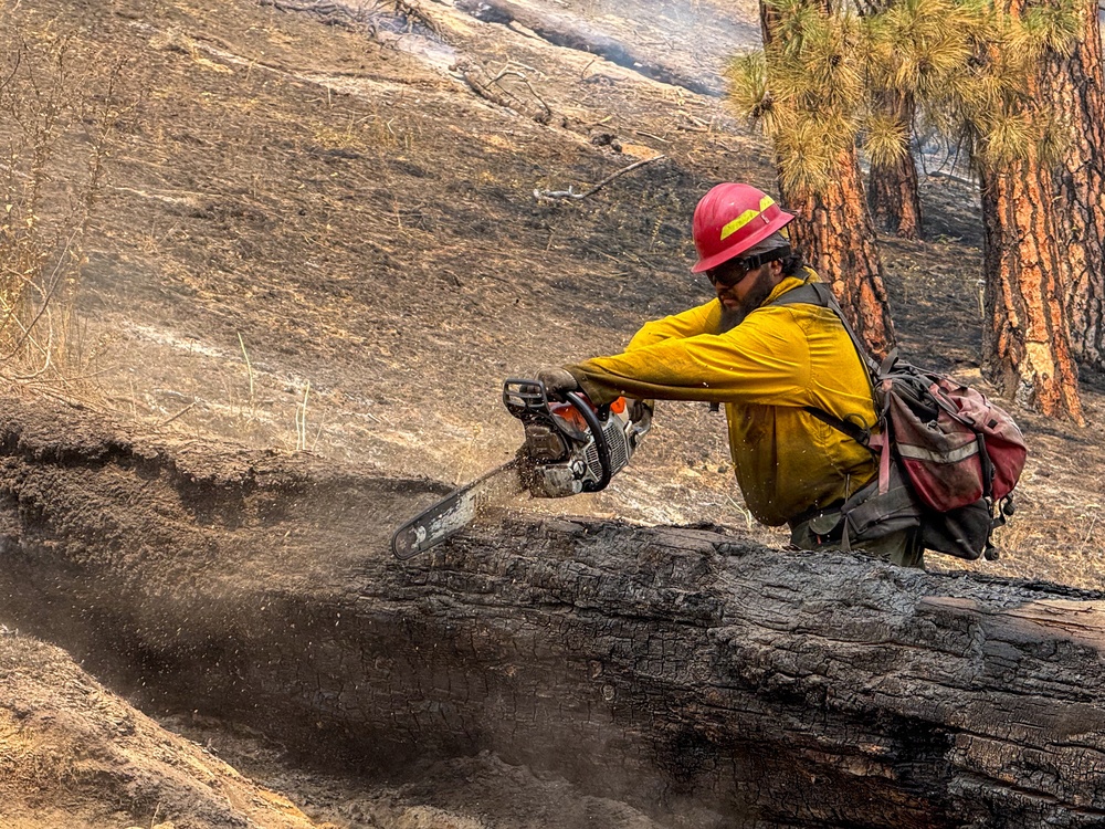 Spokane Area Fires