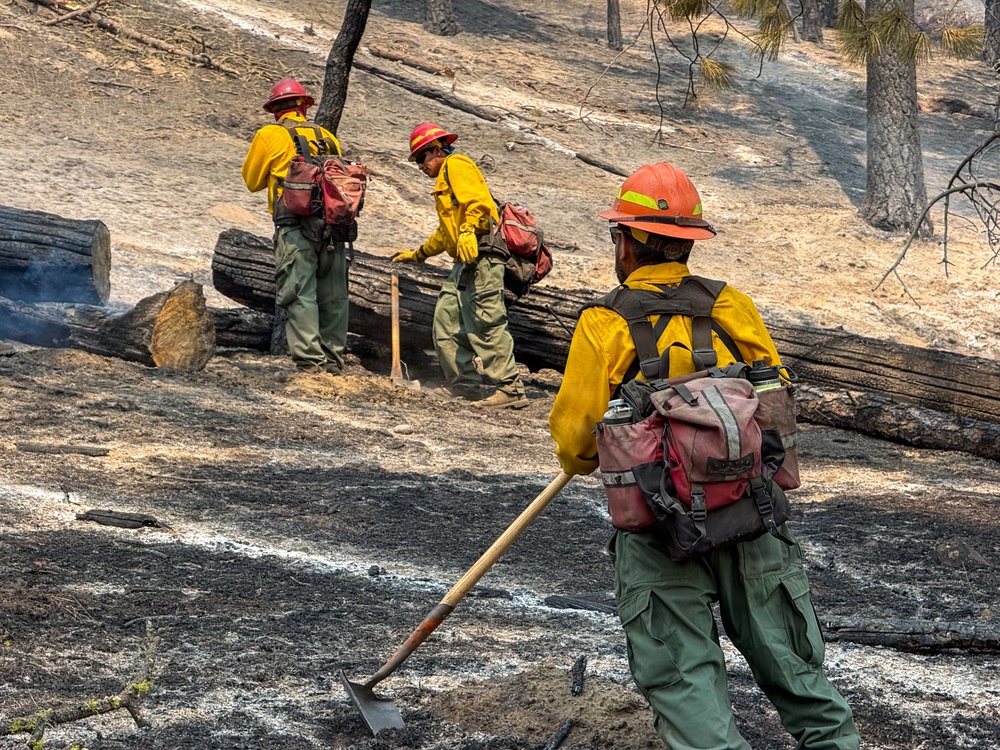 Spokane Area Fires