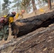 Spokane Area Fires