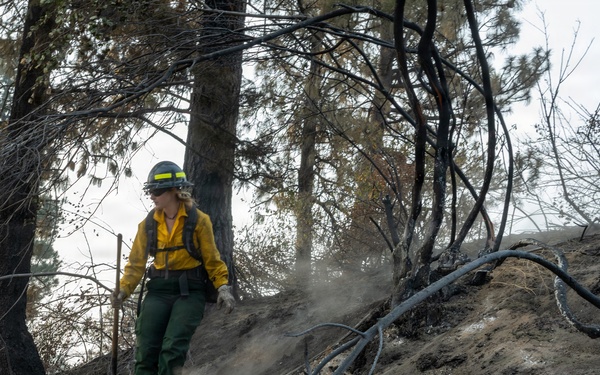 Spokane Area Fires