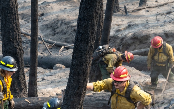 Spokane Area Fires
