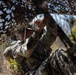 1st Intelligence Battalion conducts patrol base operations