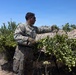 1st Intelligence Battalion conducts patrol base operations