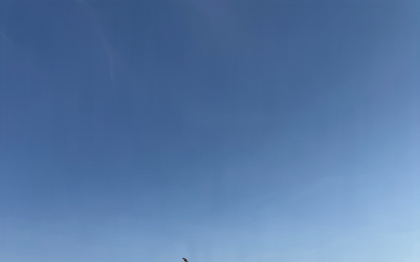Utah National Guard Aviation Crews Support Wildfire Response from the Air