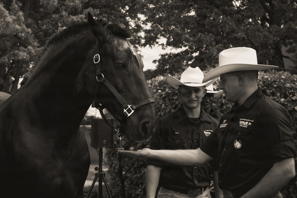 Military Mounted Battalion Horse Retirement Ceremony