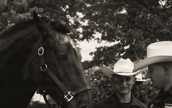 Military Mounted Battalion Horse Retirement Ceremony