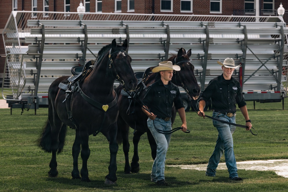 Military Mounted Battalion Horse Retirement Ceremony