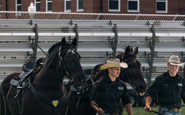 Military Mounted Battalion Horse Retirement Ceremony
