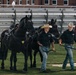 Military Mounted Battalion Horse Retirement Ceremony