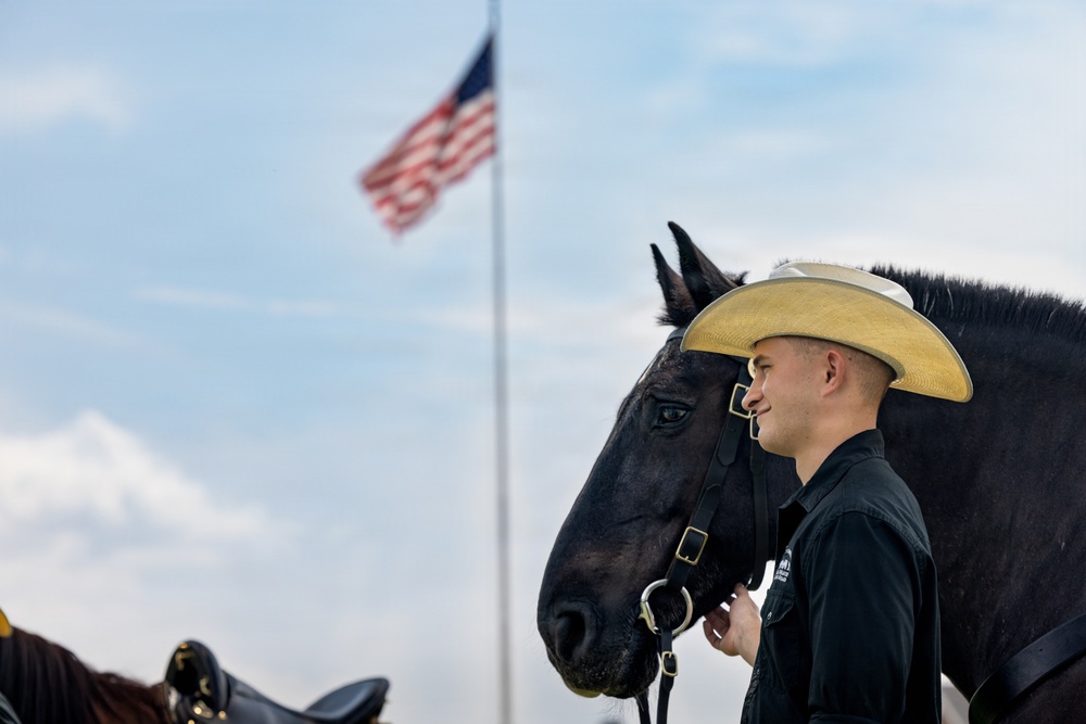 Military Mounted Battalion Horse Retirement Ceremony