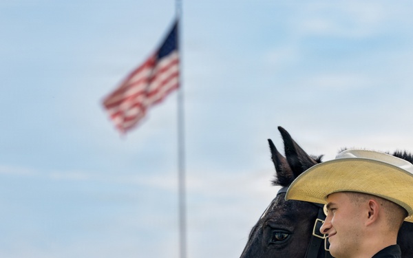 Military Mounted Battalion Horse Retirement Ceremony