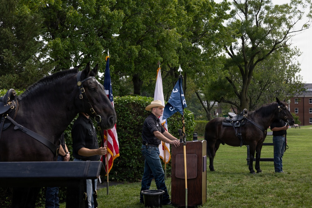 Military Mounted Battalion Horse Retirement Ceremony