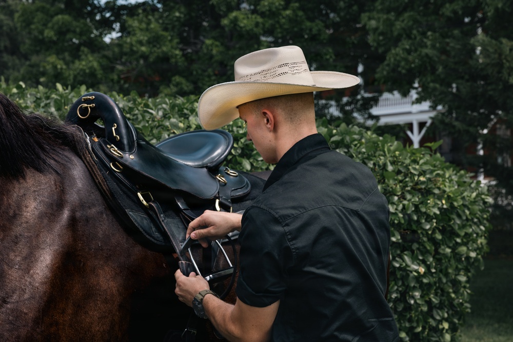 Military Mounted Battalion Horse Retirement Ceremony
