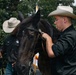 Military Mounted Battalion Horse Retirement Ceremony