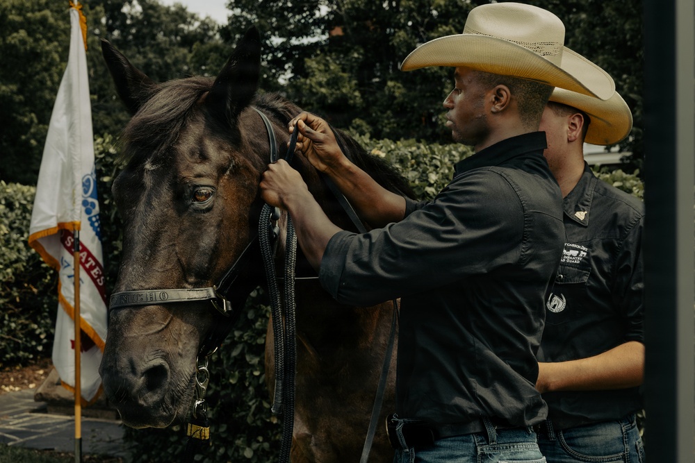 Military Mounted Battalion Horse Retirement Ceremony