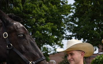 Military Mounted Battalion Horse Retirement Ceremony