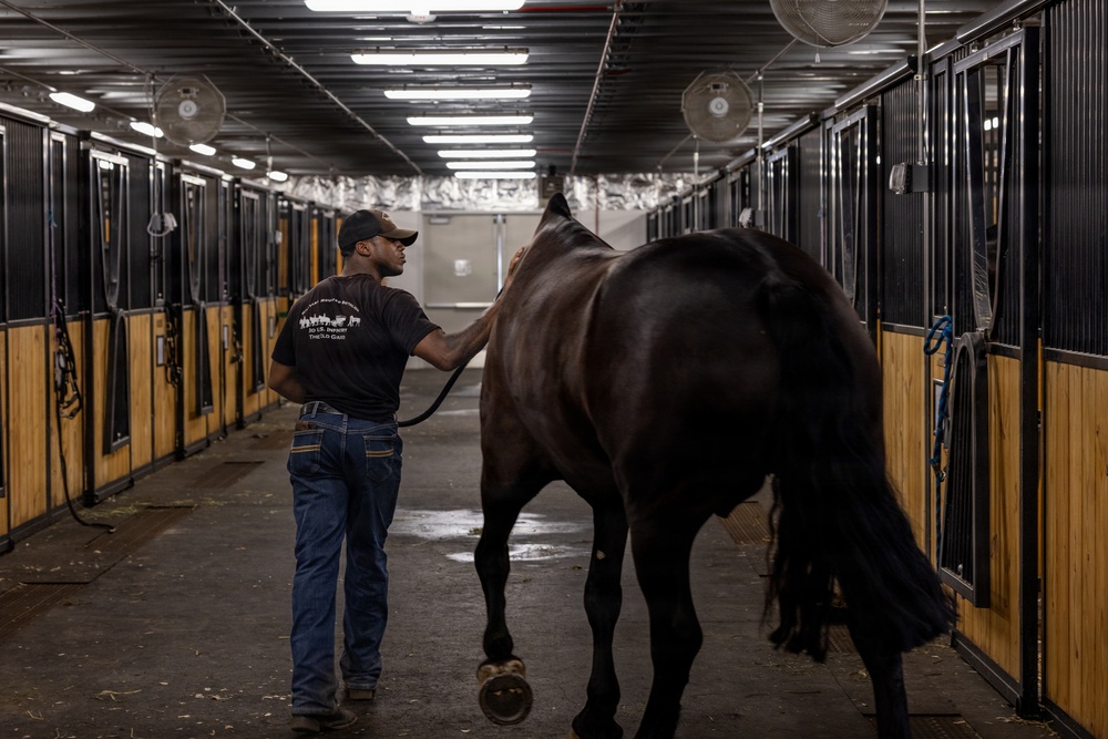 Military Mounted Battalion Soldiers Conduct Stable Duties at Caisson Village
