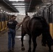 Military Mounted Battalion Soldiers Conduct Stable Duties at Caisson Village
