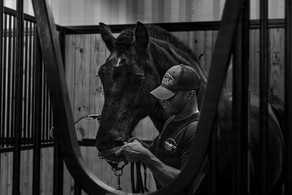 Military Mounted Battalion Soldiers Conduct Stable Duties at Caisson Village