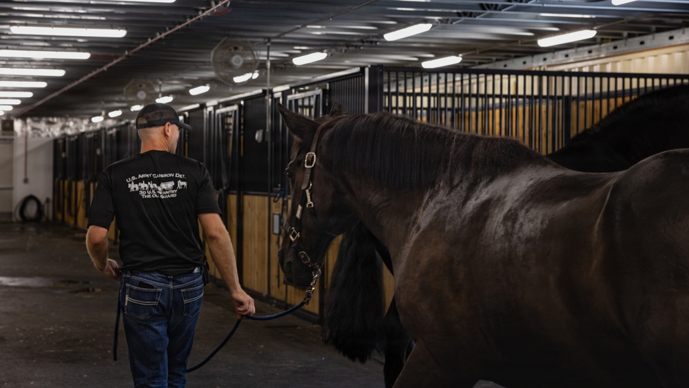 Military Mounted Battalion Soldiers Conduct Stable Duties at Caisson Village