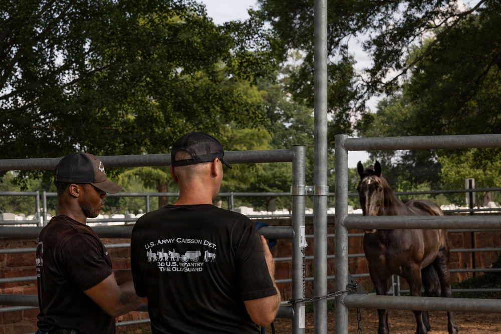 Military Mounted Battalion Soldiers Conduct Stable Duties at Caisson Village